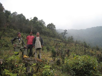 Slash-and-burn cultivation in Nepal