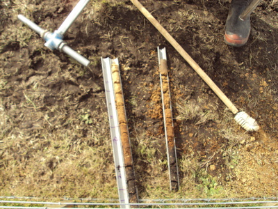 Soil cores from a New Zealand cattle ranch