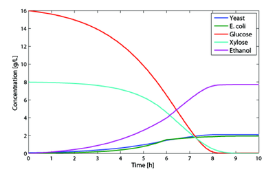 Figure 1 - Optimal growth simulation