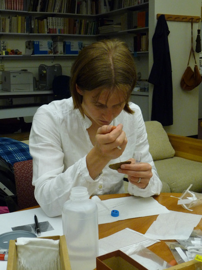 Dr. Amanda Henry collecting samples