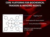 0965983_2012_core_platforms_for_biochemical_trackers_and_imaging_agents
