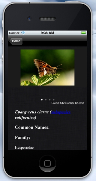 A screen shot of a butterfly field guide for Smartphone