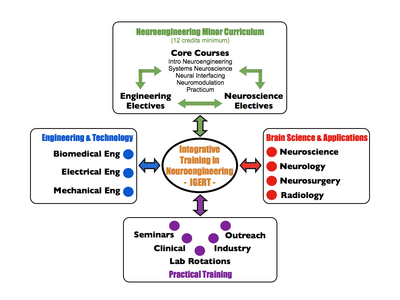 Neuroengineering Minor Curriculum