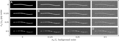 Simulated Fluorescence Images of Microtubules with Various Noise Levels