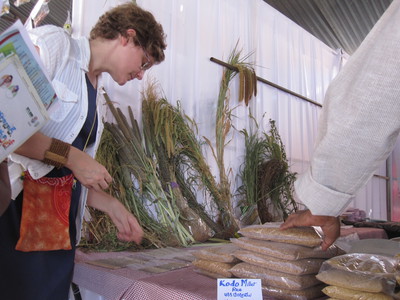Deborah Scott, NSF IGERT Graduate Training fellow, examines local seeds and plants from across the globe at Peoples Biodiversity Festival, a major side forum of the Meeting of Conference of the Parties, United Nations Convention on Biological Diversity, H