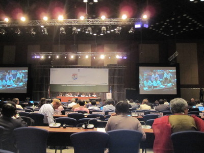 Delegates from member governments discuss implications of synthetic biology and biodiversity on the development and deployment of biofuels at the Conference of the Parties, United Nations Convention on Biological Diversity, Hyderabad, India, October, 2012