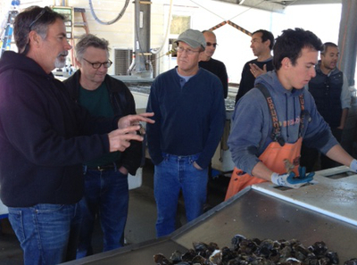 Terry Sawyer, co-owner of the Hog Island Oyster Farm, explains sustainable oyster culture to Joe Palca