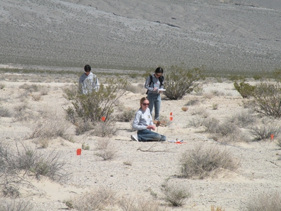 Research in Death Valley, CA