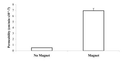 Permeation rates of magnetic nanoparticles through biofilm