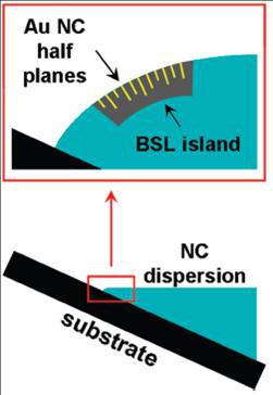 Fig. 5. Illustration of the proposed mechanism of dislocation formation in the BSLs