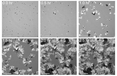 Fast formation of poly-crystalline silicon through nanoparticle seeding