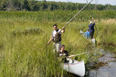 Trainees learn to harvest wild rice at White Earth Reservation