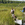 Trainees learn to harvest wild rice at White Earth Reservation