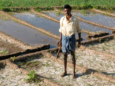 Irrigation in Tamil Nadu