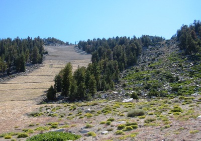 Ski runs created by grading and by clearing brush
