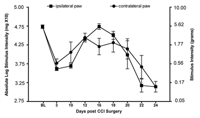 Intrathecal Injection of Protocells Loaded with pDNA-IL-10 Results in Short Term Pain Relief