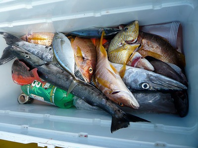 Curacoa Artisanal Fishery