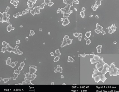 Figure 2: SEM image of Griseofulvin particles stabilized using HPMC and SDS